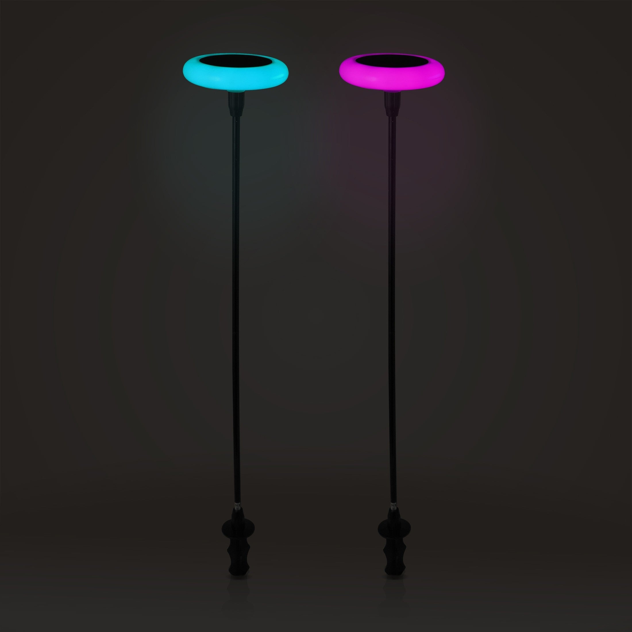 RGB Solar Garden Stake Light – Waterproof Color Changing LED Landscape Light